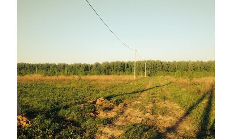 Алино