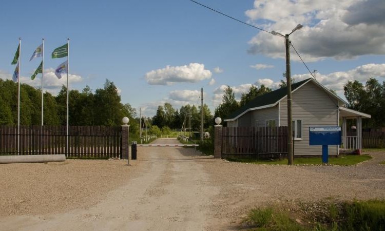 Амельфино