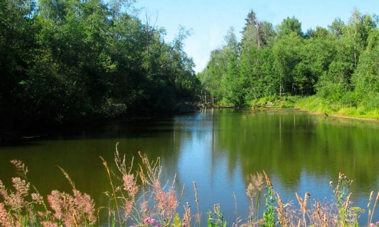 Амельфино