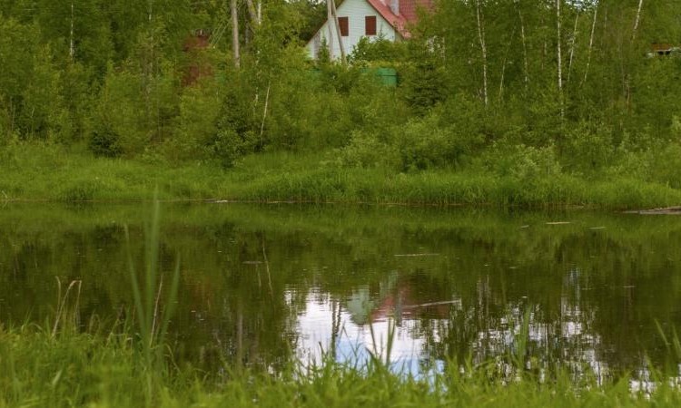 Амельфино
