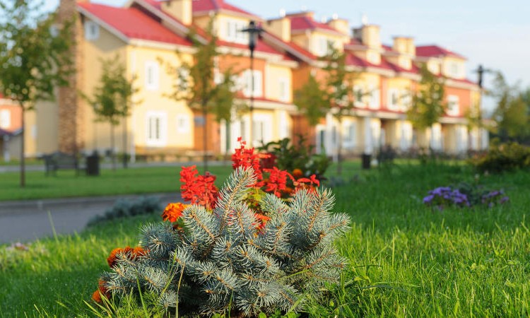 Ангелово