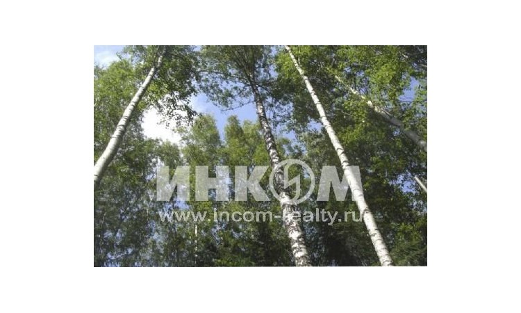 Андрейково Лесное
