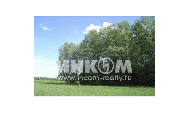 Андрейково Лесное