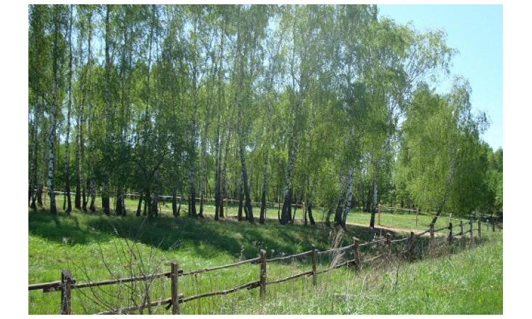 Антошкино