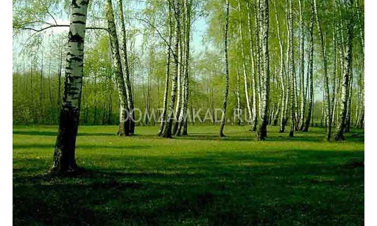 Апрель