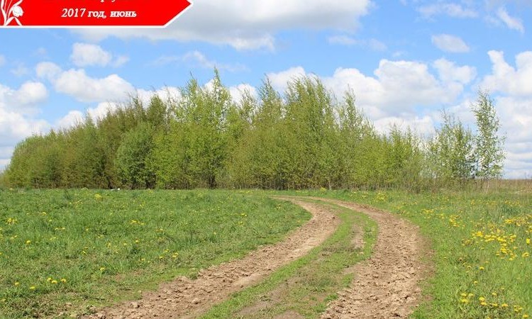 Аргуново 1, 2, 3, 4