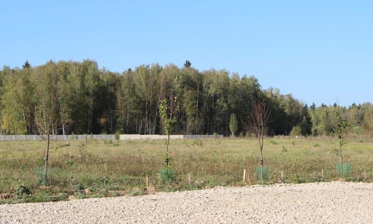 Арнеево 2