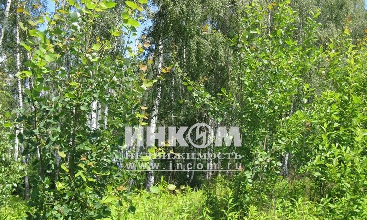 Арнеевские дачи