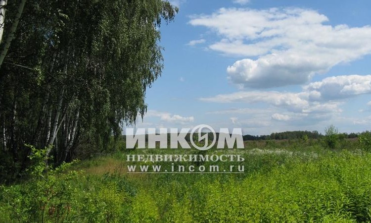 Арнеевские дачи