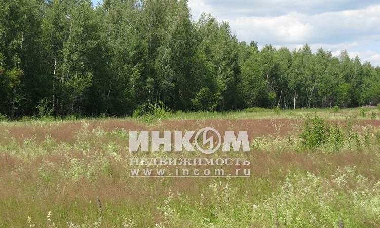 Арнеевские дачи