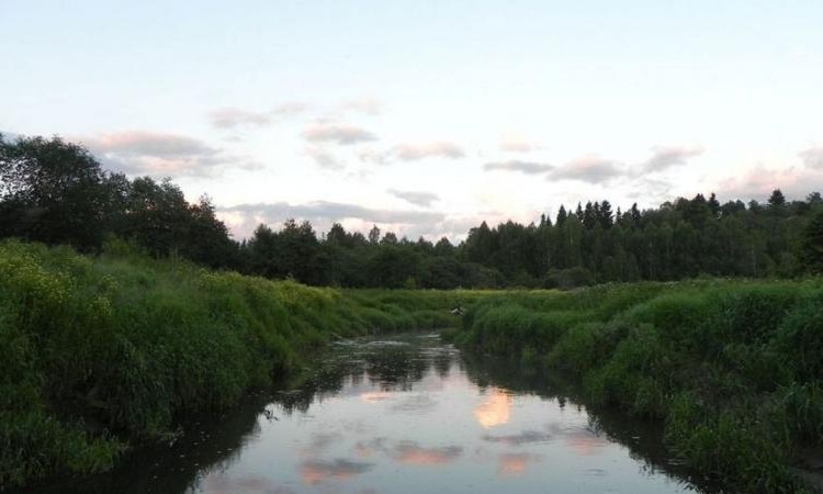 Белояр
