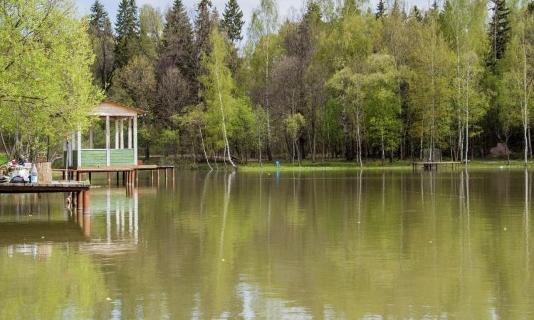 Белояр