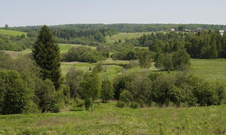 Белояр