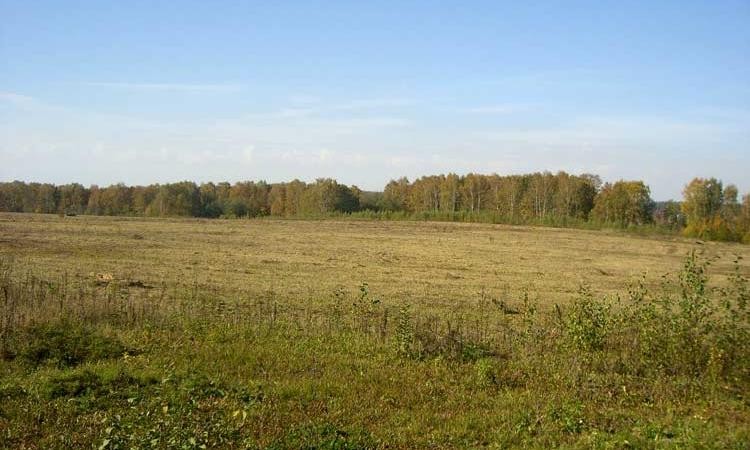 Берег ангелов