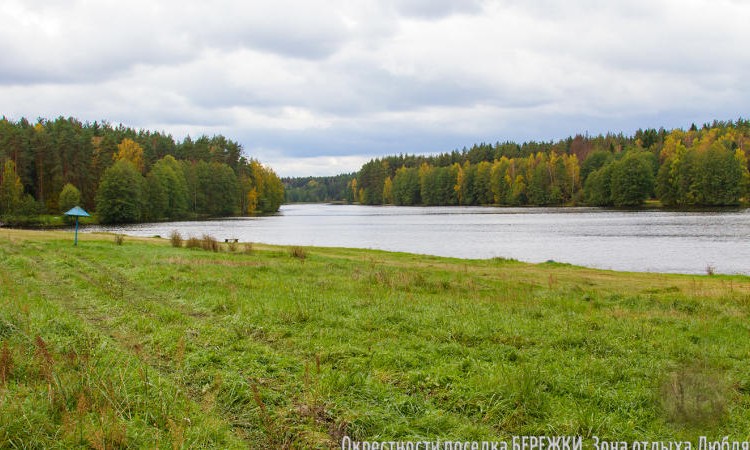 Бережки