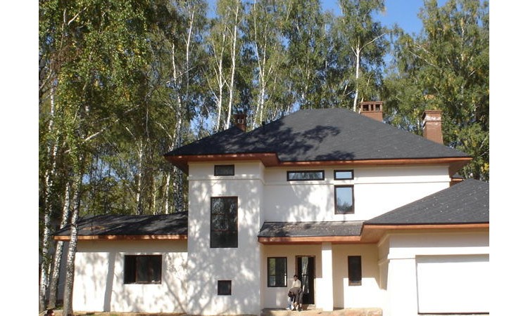 Березовый лес