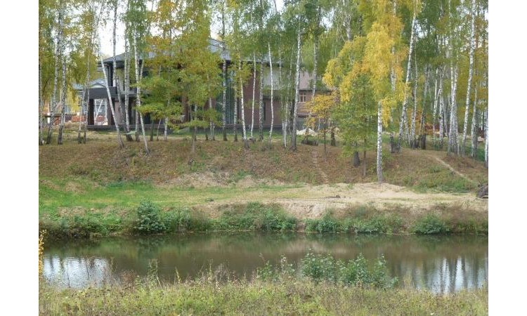 Березовый парк