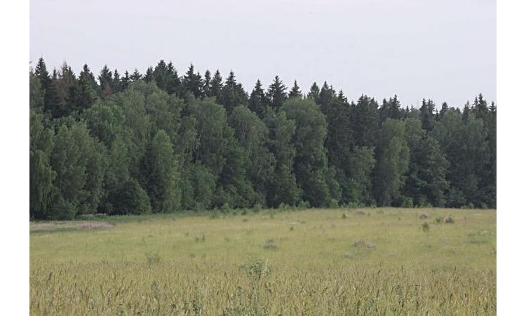 Бестужево