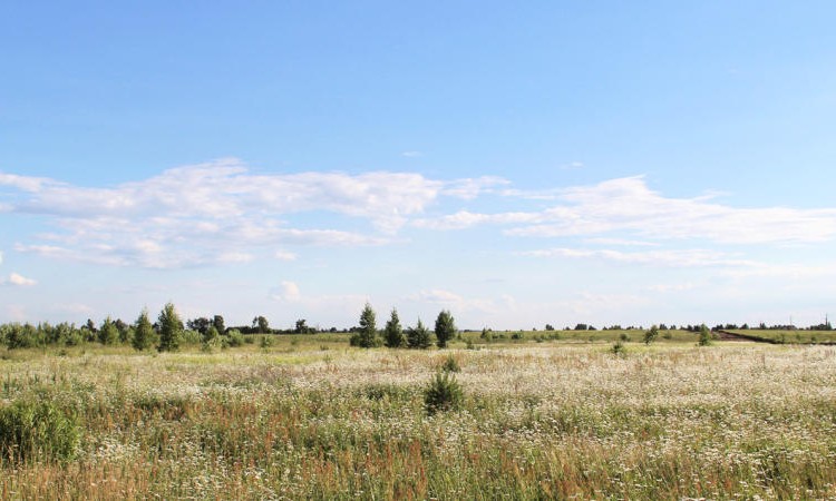 Благодарово