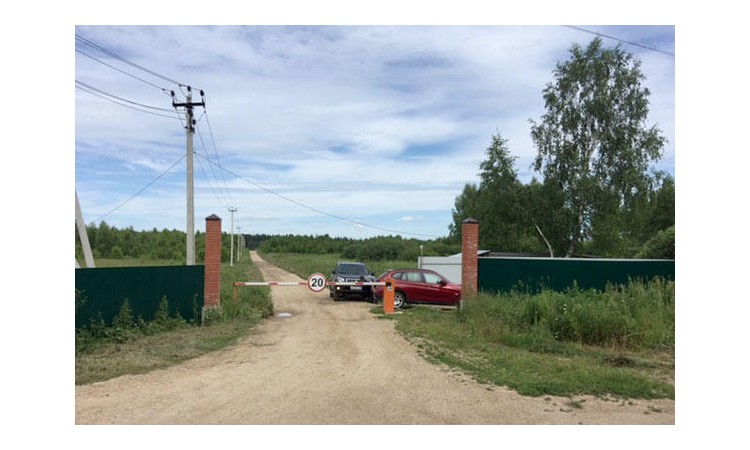 Боровички
