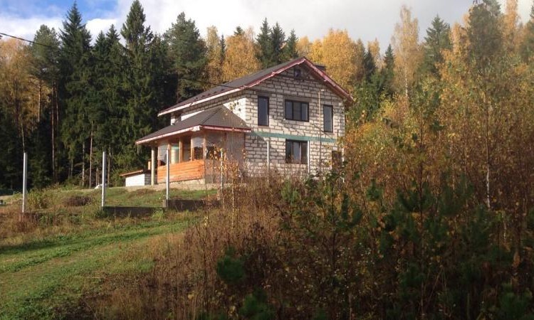 Боровички
