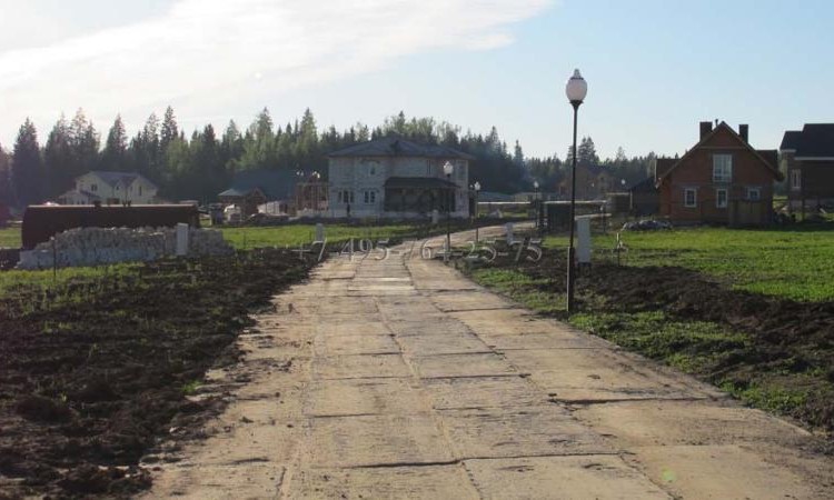 Брусничные поля