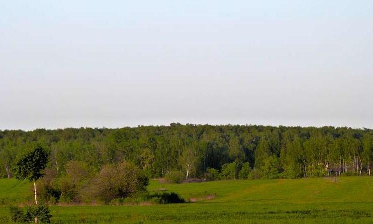 Булгаково