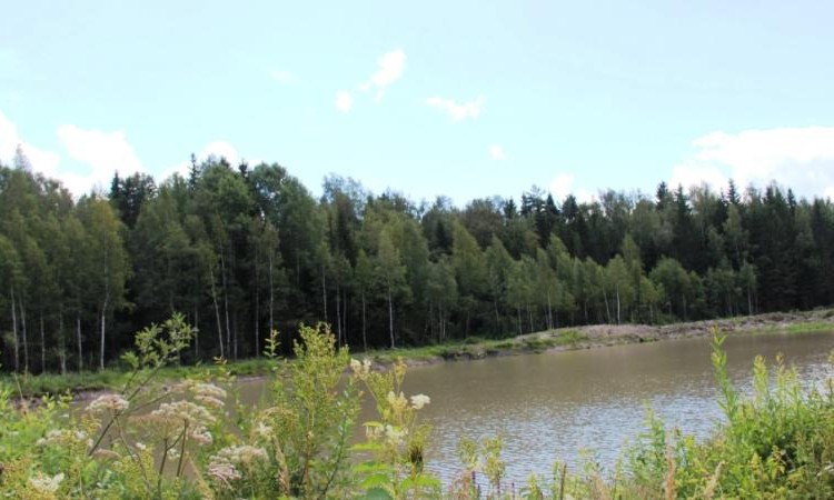 Ваньково