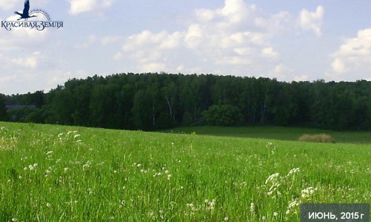 Васильково 3