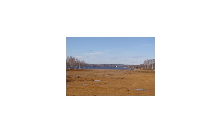Виталенд