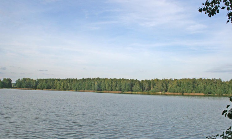 Вишенка