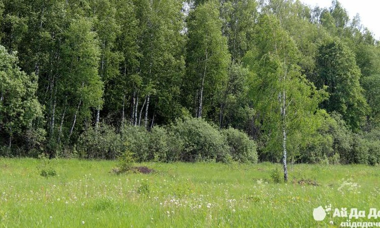 Воскресенки (Симферопольское шоссе)