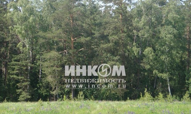 Восточные угодья