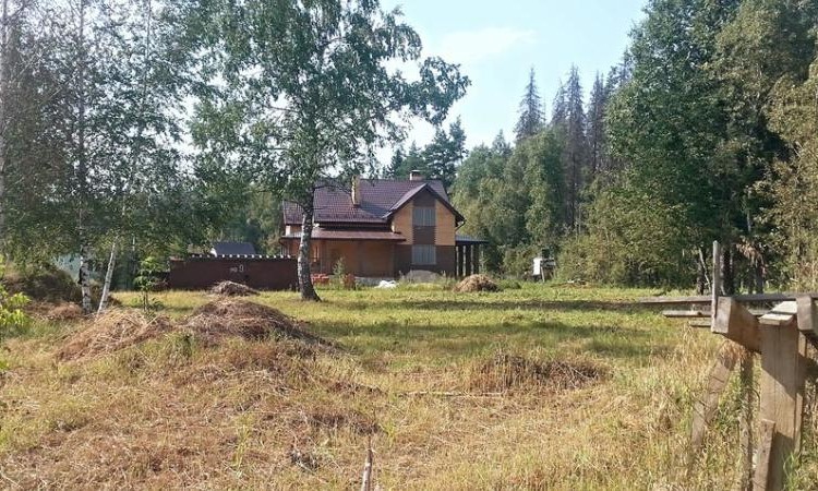 Восточный сад