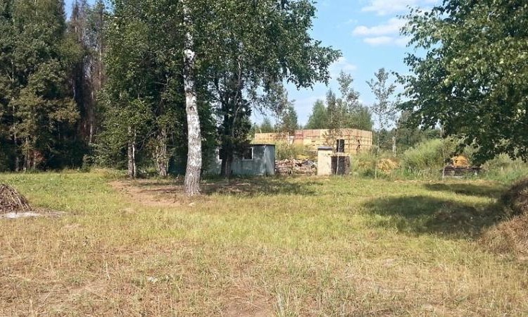 Восточный сад