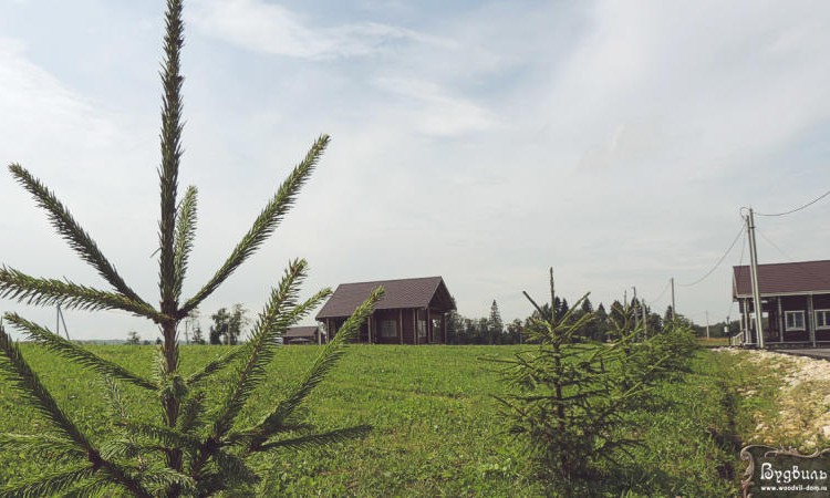 Вудвиль
