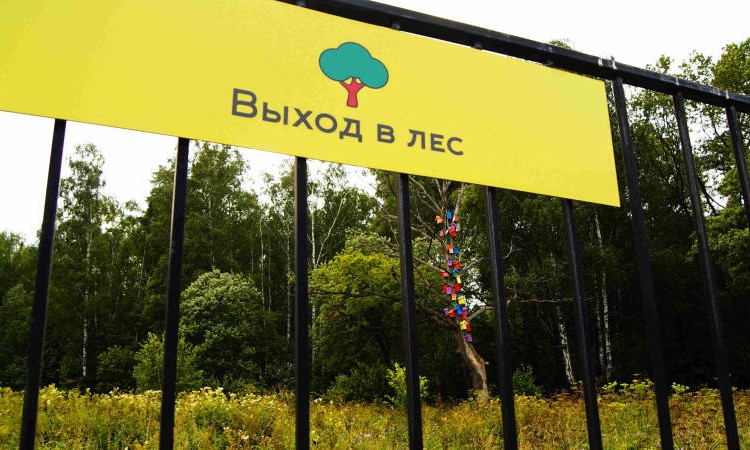Вяземские сады