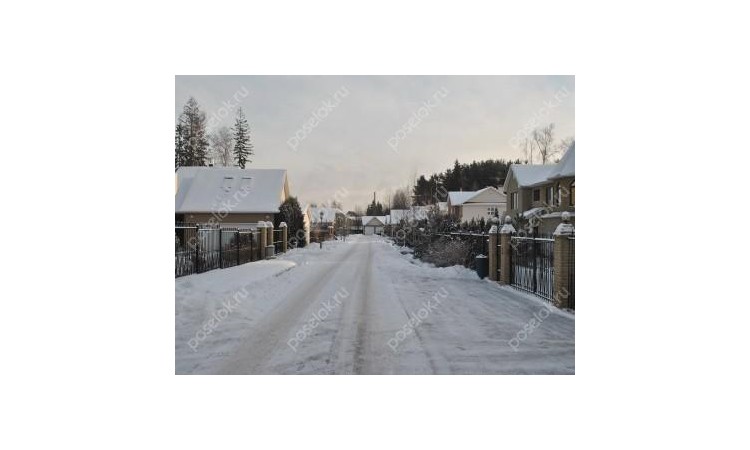 Голубое