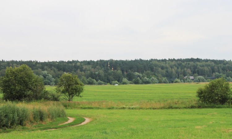 Грибаново