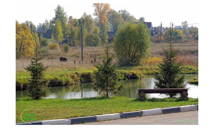 Грибники