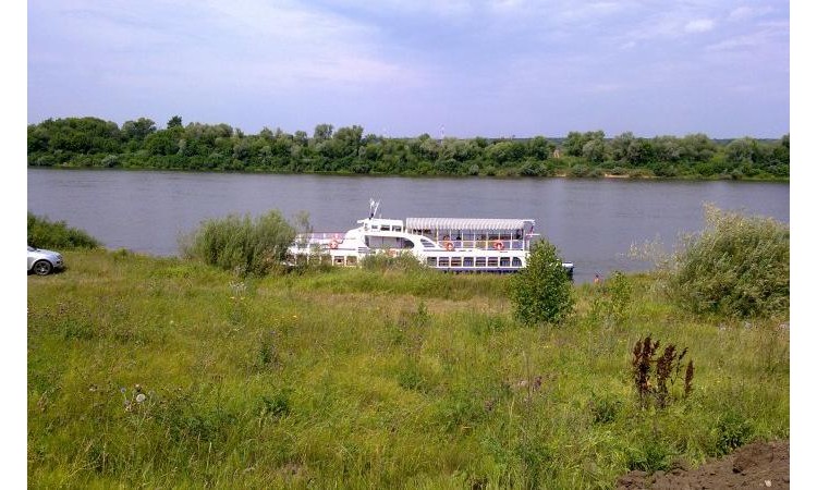 Дали