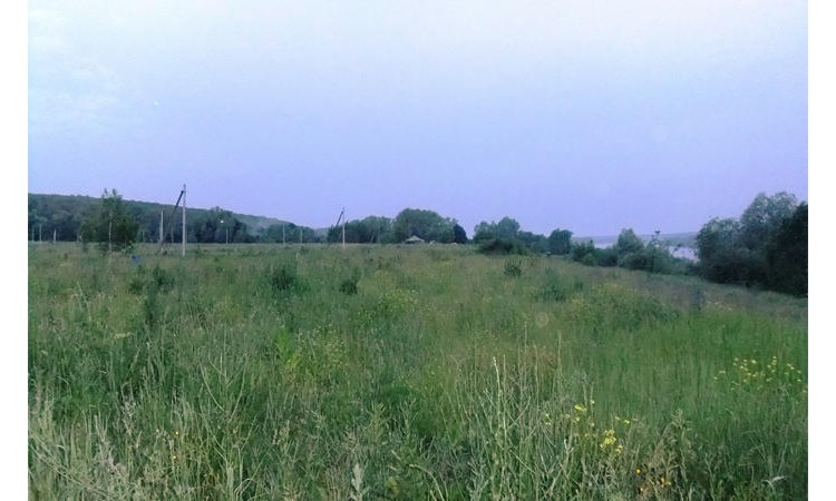 Дали