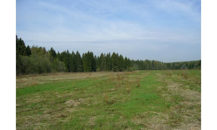 Данилово 1, 2, 3, 4