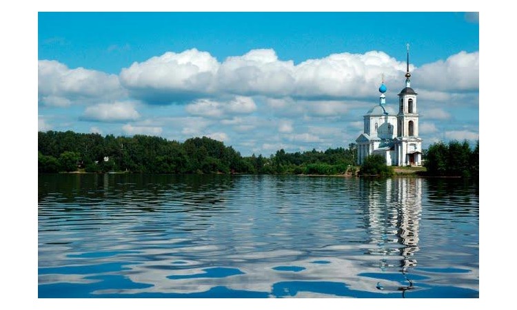 Дачники