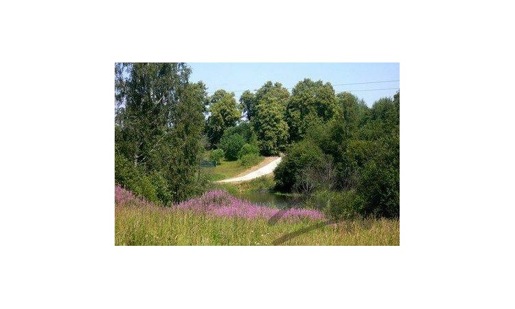 Дмитровcкие Холмы