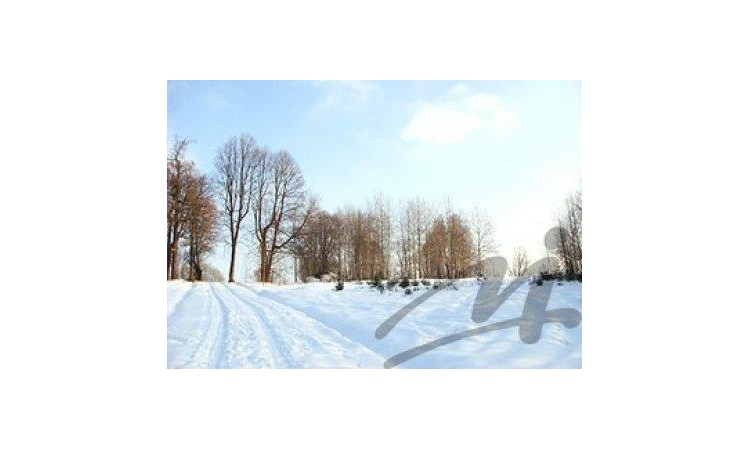 Дмитровcкие Холмы