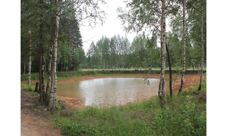 Дубровский лес