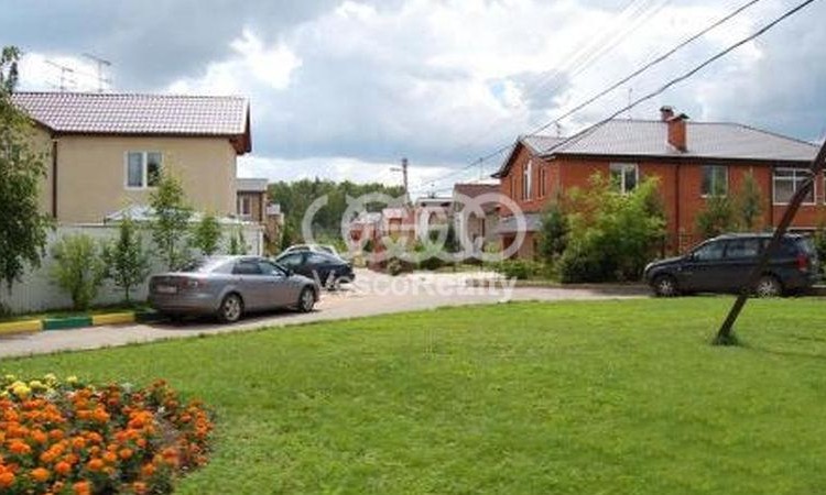 Ели