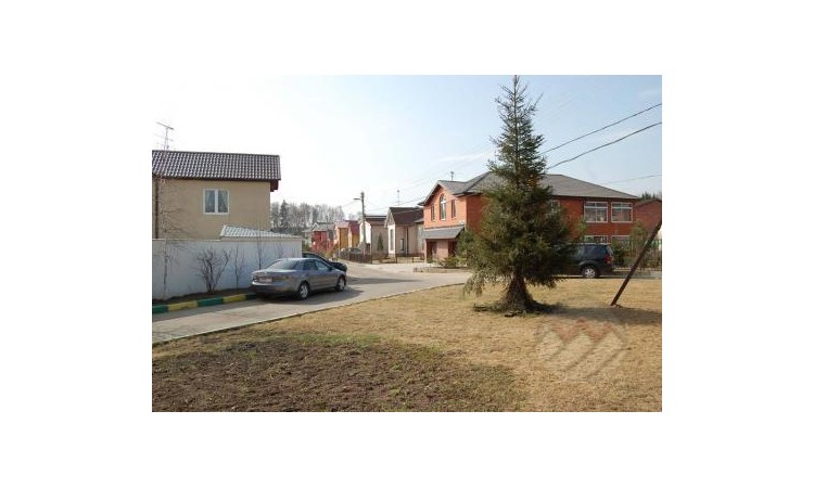 Ели