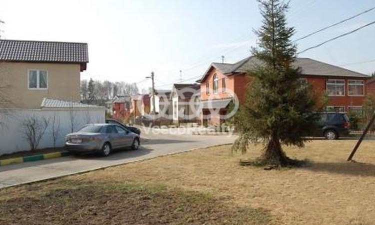 Ели